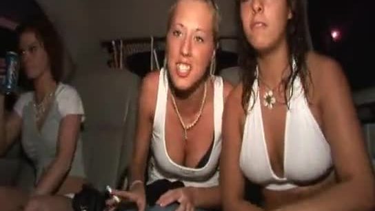 Wild girls flashing in a limo